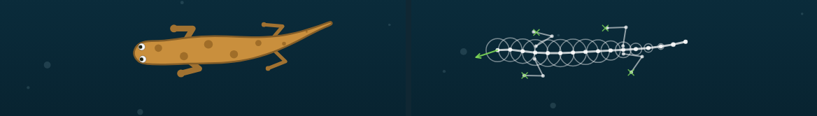 The same creature shown twice: on the left a spotted lizard, on the right the circles and links it is really made of.