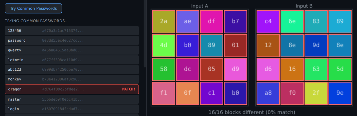 Left: the Password Checker after Try Common Passwords. A list of ten common passwords, 123456, password, qwerty, letmein, abc123, monkey, dragon, master, login and welcome, each with the start of its hash. The dragon row is outlined in red and marked MATCH. Right: the Avalanche Demo, with two four-by-four grids of colored squares for hello and hellp. The label under them reads 16/16 blocks different (0% match).