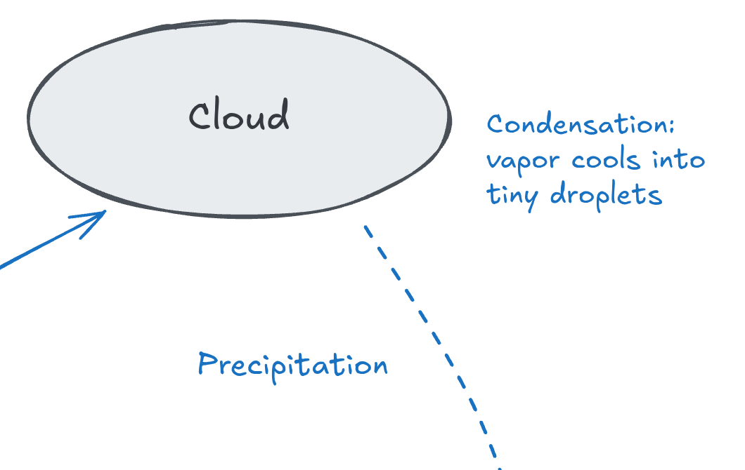 A close-up of the water cycle diagram around the cloud: a gray oval drawn with slightly wobbly lines and the word Cloud in a handwritten font, the blue note Condensation: vapor cools into tiny droplets beside it, and a dashed blue arrow labeled Precipitation curving down and away from it.