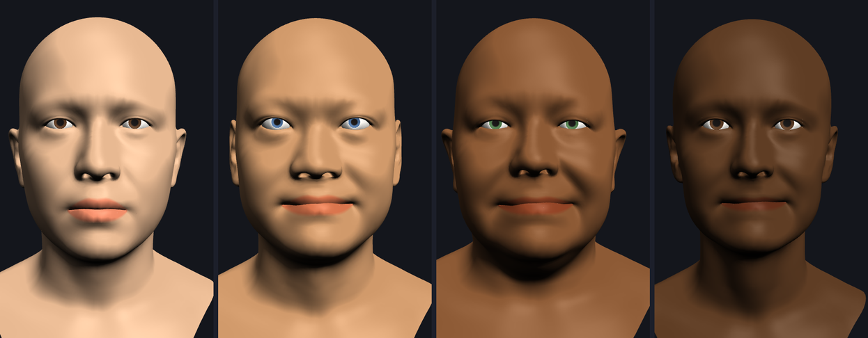 Four heads side by side. The first is the plain average head with a neutral expression. The other three each have a different face shape and a soft smile: one with light tan skin and blue eyes, one with brown skin and green eyes, and one with dark brown skin and brown eyes.