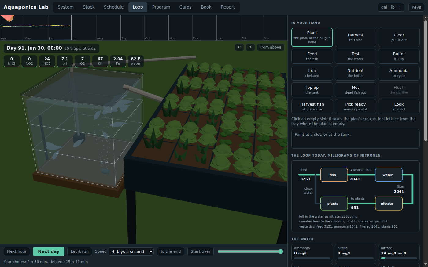 The Loop bench on day 91, June 30, with twenty tilapia at 5 ounces and the bed full of lettuce and greens. On the right, The loop today in milligrams of nitrogen: feed 3251 into the fish, 2041 ammonia out into the water, 2041 through the filter to nitrate, 951 taken up by the plants, with 22655 mg left in the water as nitrate and 657 lost to the air as gas. Meters read ammonia 0, nitrite 0, nitrate 24 mg per liter. Above the loop, the tools in hand: plant, harvest, feed, test, buffer, iron, top up, harvest fish.