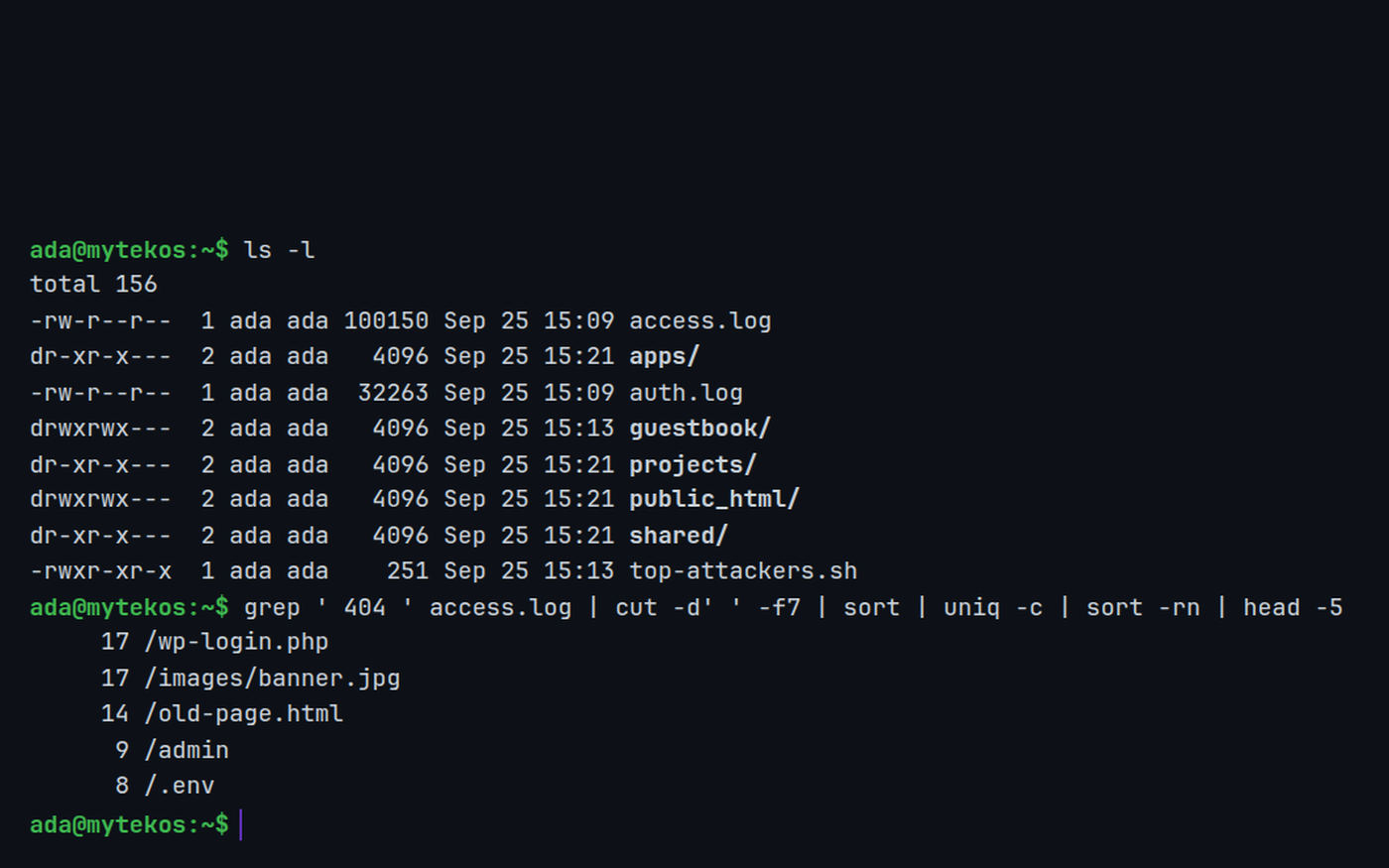 A Linux terminal. ls -l lists files with their permissions, owner, size and date. Then one command line, grep for 404 in access.log piped through cut, sort, uniq -c, sort -rn and head, prints the five most requested missing pages: 17 for /wp-login.php, 17 for /images/banner.jpg, 14 for /old-page.html, 9 for /admin and 8 for /.env.